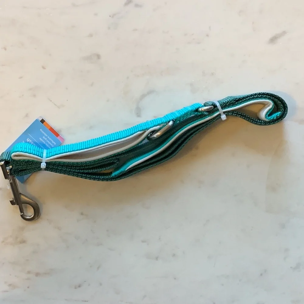 LEGO LIMITED EDITION Colorblock Dog Leash in Green